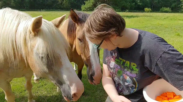 Summer Fun at Ringgenberg Ranch