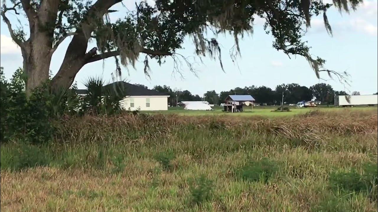 LAND FOR SALE IN FLORIDA 2023 Hmong Owner Wants To Sale This 20Acres