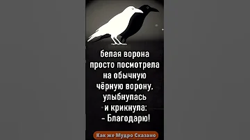 Притча про Белую Ворону #цитаты #мудрость #shorts