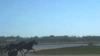 VID00016.AVI