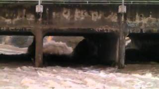 my back yard flood way
