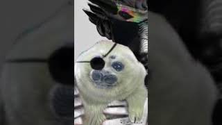 Seal Video Archive Museumhi Im Vinny Morrison From Jet Set Radio And Youre Watching Disney Channel