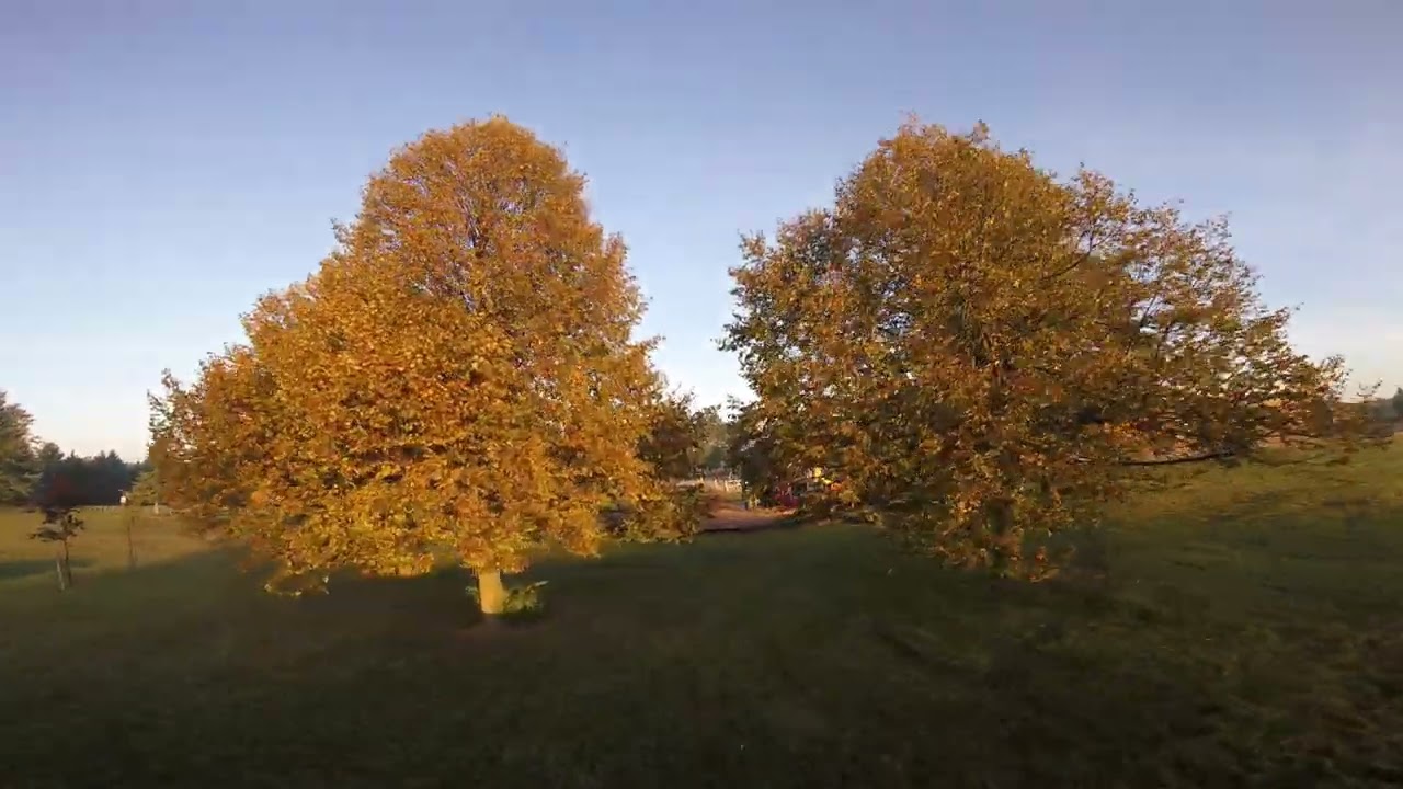 FPV: SPRacing F3 FC in 2023