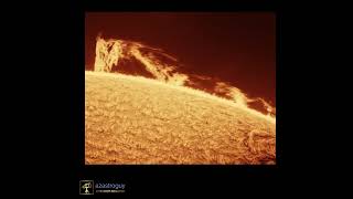 July 26 2026 time lapse
The Sun in Motion
Yesterday the air was turbulent but far above, I captured the Sun for 2 hours and sped up its motion to create a 23 second time-lapse.
Ionized hydrogen + magnetism + gravity = fascinating motion.
Captured from my backyard in Scottsdale Arizona. TEC160FL/ERF/4x/solar spectrum 0.3A etalon/IMX174 camera
#sun #star #solarimaging July 26 2026 time lapse