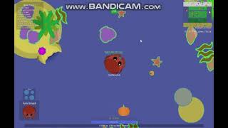 WE SURVIVED OCEAN IN MOPE.IO PART 2