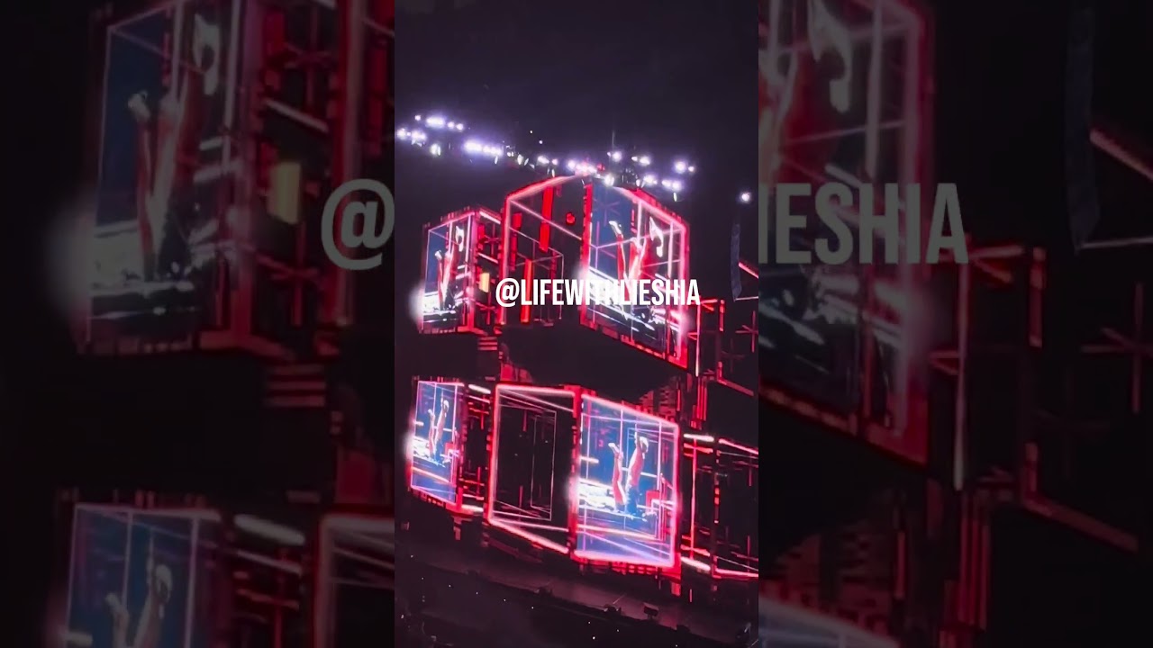 Chris Brown Takes down a fan