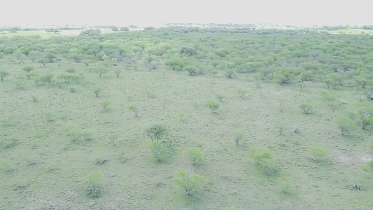 784 U.S. 183, Refugio, TX 78377 - Clinton Truax - Phyllis Browning Company