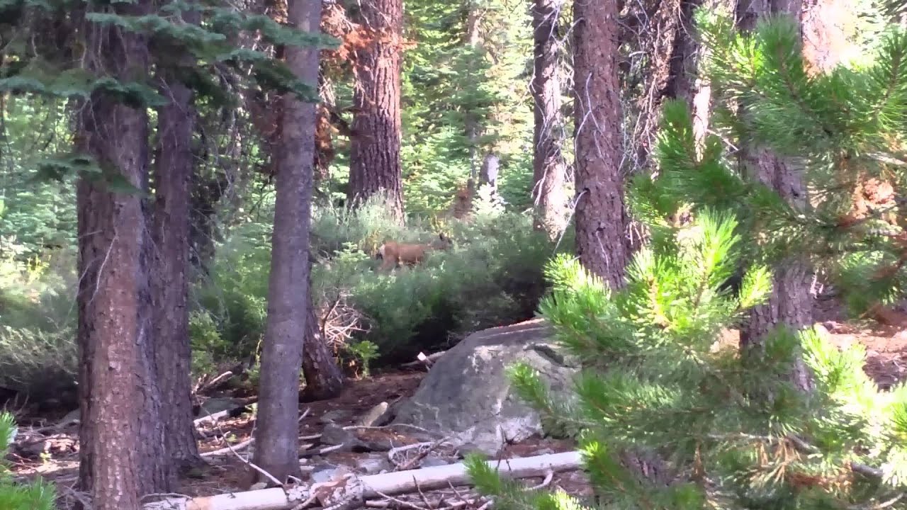 TEAM HMONGOL Hmong Outdoors & The Great Adventure