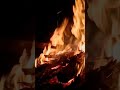 FIRE TIME - FIREWOOD SOUND
