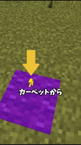 この高さのカーペットから落ちても耐える?
