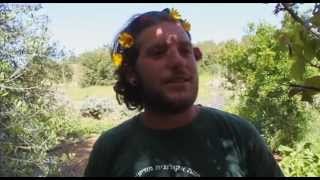 Permaculture Principle 5: Use & value renewable resources & services