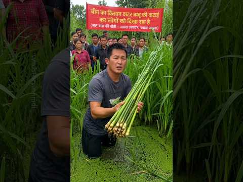 चाइना के किसान वाटर बम्बू से लाखों कैसे कमा रहे हैं 🤔| पार्ट 3 | #shorts