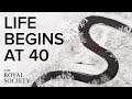 Life begins at 40 the biological and cultural roots of the midlife crisis  the royal society