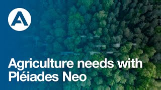 Agriculture needs with Pléiades Neo