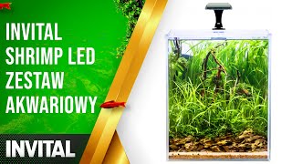 Invital Shrimp Led Zestaw Akwariowy Invital