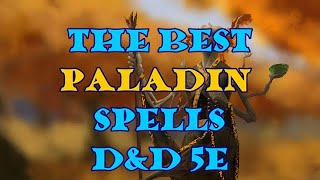 The Best Paladin Spells D&D 5e