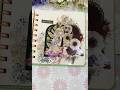 ASMR | Journaling #flowers #stickers #journalwithme #cute #diy #diary #craftideas #washitape #love