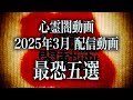 【2025年3月】視聴者が本当に震えた…心霊闇動画ベスト5!【最恐まとめ】