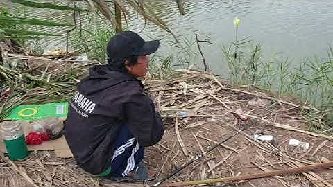 Câu cá nước mặn cù lao Tân Phú Đông