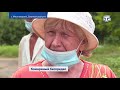 В Крыму – нашествие комаров