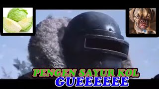 SAYUR KOL - COVER VIDEO PUBG