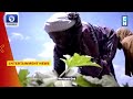 Docu Film On Insurgency Ngarannam Premieres In Lagos 