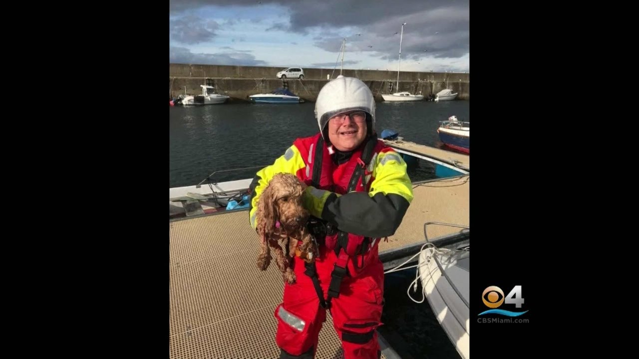 Dog Rescued After Being Swept Out To Sea - YouTube