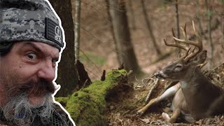 Is Buck Bedding Different Early Vs Rut Vs Late Season?