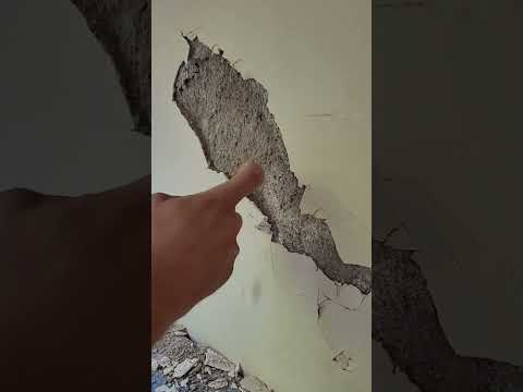 Major plaster damage on a painting project #painting