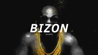 Kaaris x Therapy Type Beat "BIZON" / Instru Trap Sombre // Instru Rap 2024