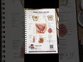 Female Pelvic Anatomy (महिला पेल्विक एनाटॉमी) | Complete Anatomy Explained in Hindi #pelvic#pelvicpt