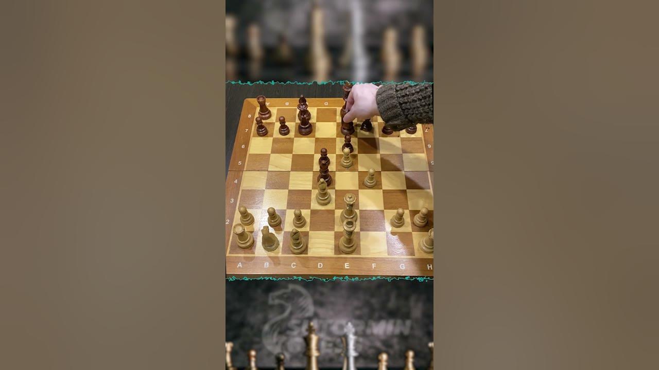 Scooner шахматы Chess