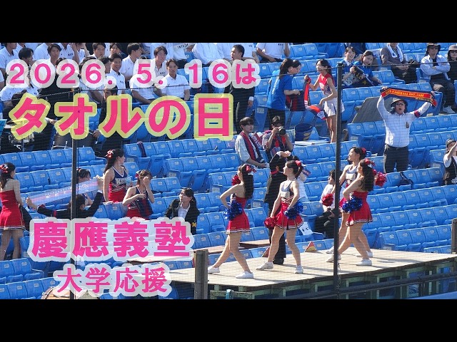 🌞【タオルの日】慶應義塾大学応援②/東京六大学野球春季リーグ戦法