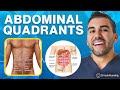 Abdominal Quadrants &amp; Regions Explained: Know Which Organs Are in Each Area Mp3 Song