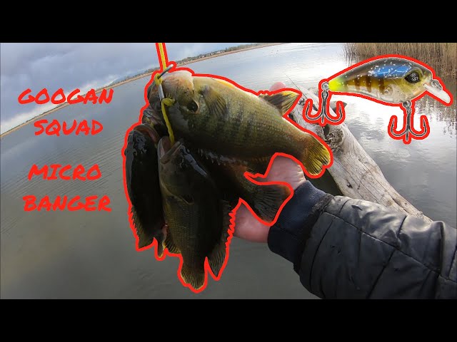 Googan Squad MICRO BANGER Catch and Cook DISASTER! 