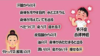 汗 Youtube 汗 Youtube