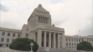衆院選　党首が最後の訴え　各党何をアピール？(17/10/21)