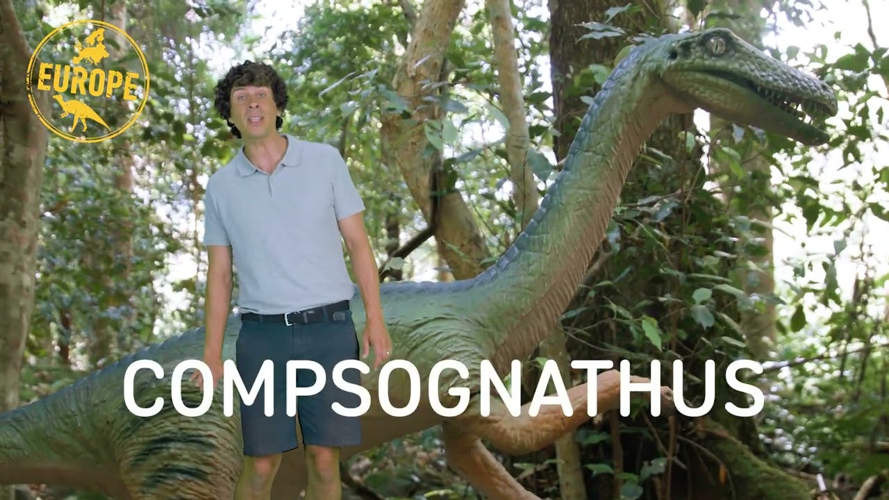 Энди Дэй в Scenic World | ДОЛИНА ДИНОЗАВРОВ | Европа