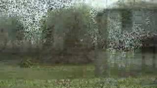 A Huge Secret History---The Poor Farm