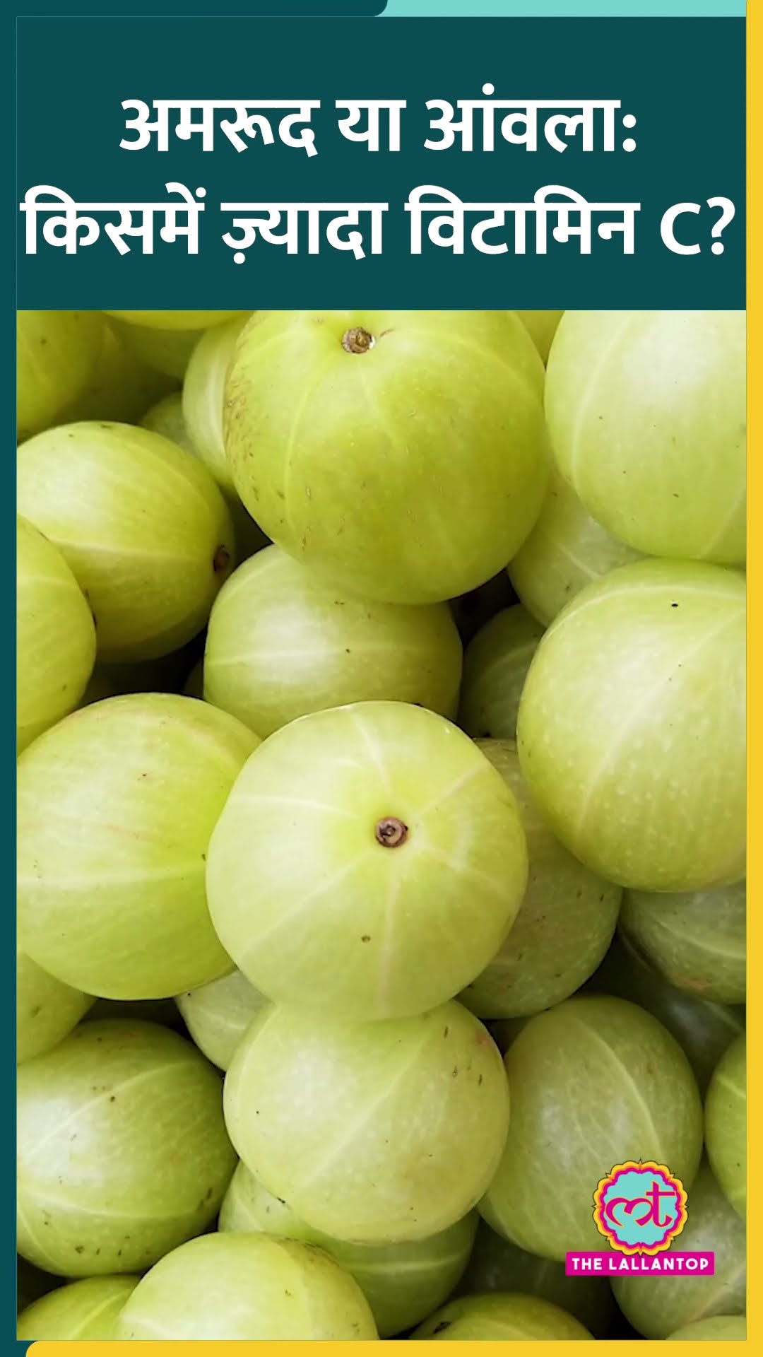 Vitamin C के लिए Guava या Amla में से किसे खाएं, एक्सपर्ट ने बताया! #Sehat #ltsehat