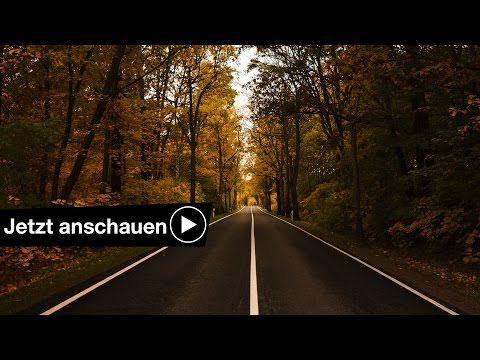 Video: 10 Hellste Herbstfarben. Beschreibung. Pflege. Foto - Seite 2 Von 11