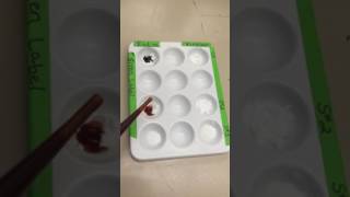 BIO CRIME SCENE WHITE POWDER TEST