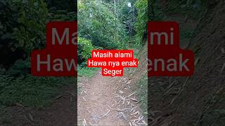 kodisi jalannya masi tanah#shortsviral