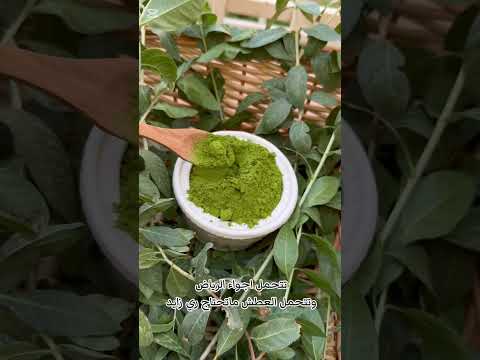 للمزيد من العنايه بالنباتات والزراعه لاتنسون الاشتراك في القناة أشجار اعمال يدوية حديقة رسم