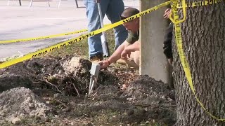 FBI investigates tunnel found leading to bank in Pembroke Pines