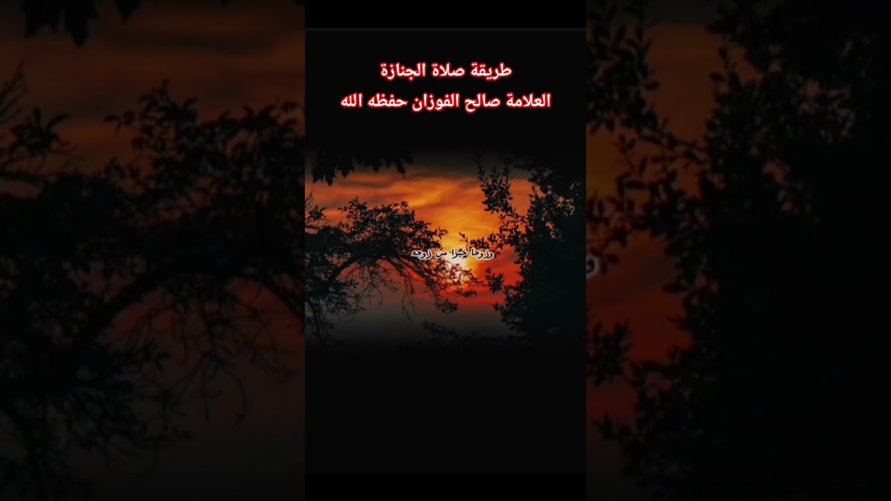 طريقة صلاة الجنازة؟ #اكسبلور #العثيمين #المصحف #حالات_واتس #تصميمي #ترند #لايك #تيك_توك #دويتو