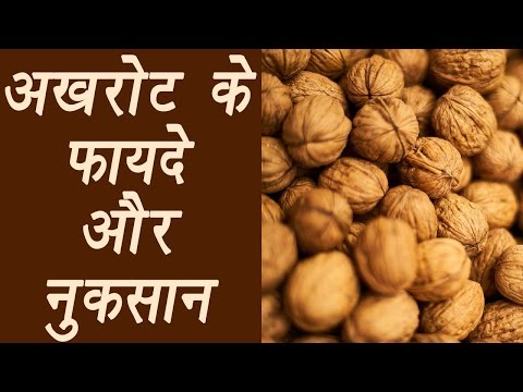 वीडियो: अखरोट: शरीर को लाभ और हानि