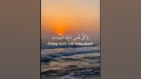 الآية ( 56- 57- 58 ) من سورة العنكبوت