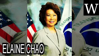 Watch Wiki Elaine video