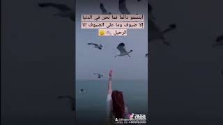 تبسمك ف وجه أخيك صدقه ️️